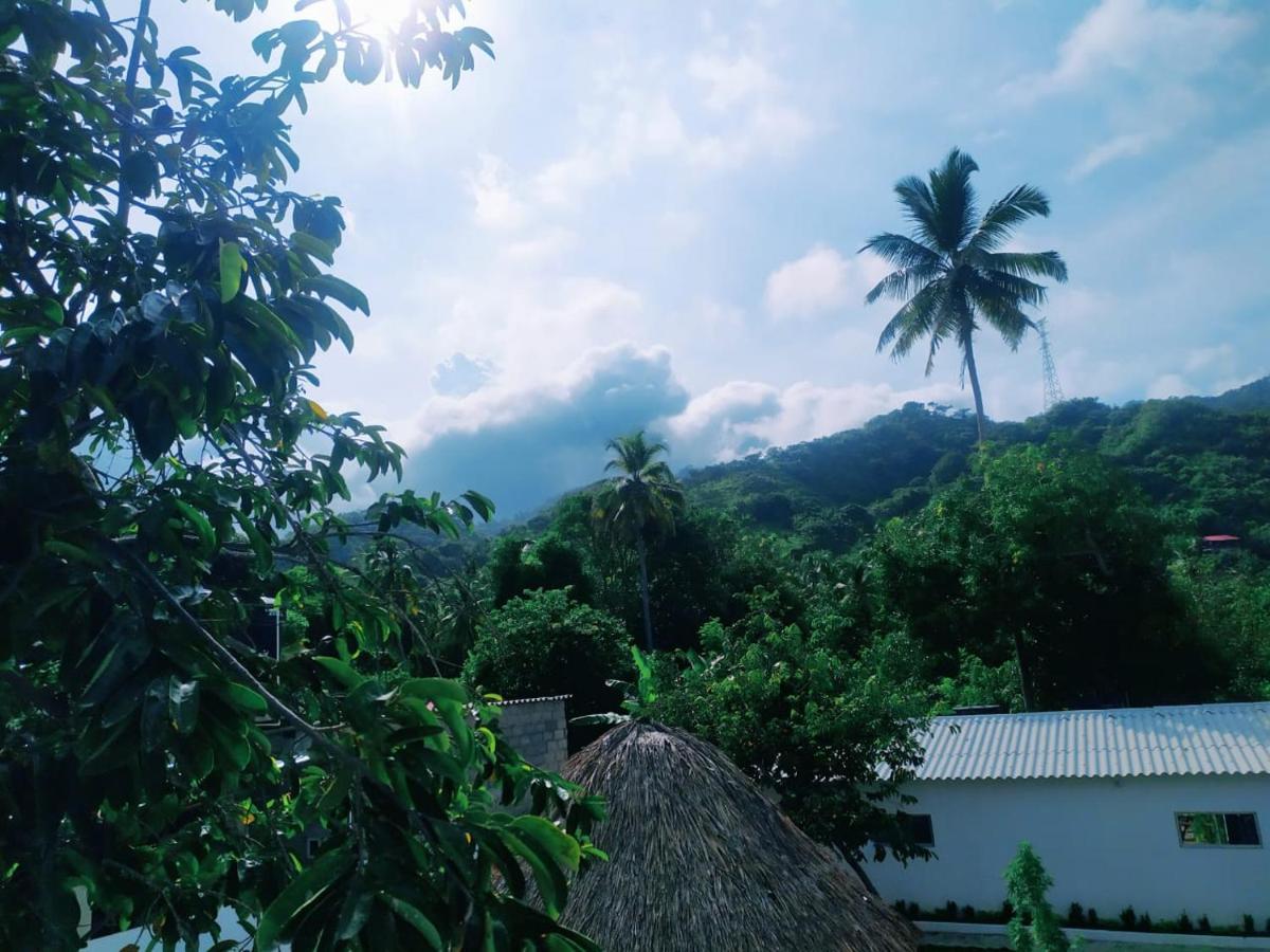 Hostal La Sierra Nevada ปาโลมิโน ภายนอก รูปภาพ